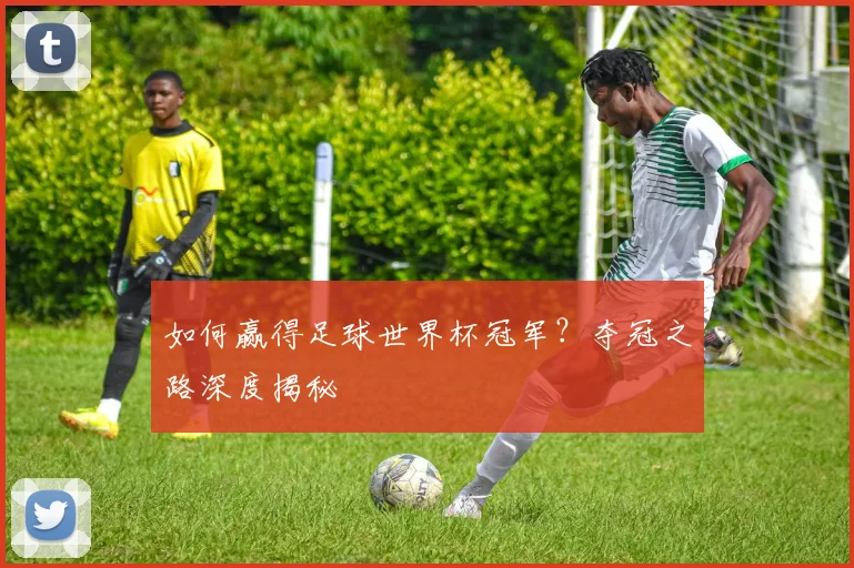 如何赢得足球世界杯冠军？夺冠之路深度揭秘