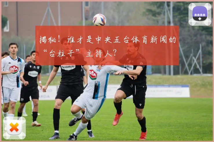 揭秘!谁才是中央五台体育新闻的“台柱子”主持人?